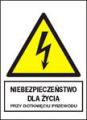 Znaki_elektryczne_ostrzegawcze_typu_A_105x148_płyta_sztywna